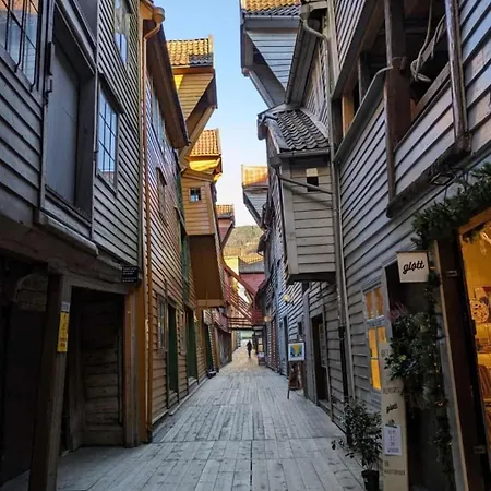 Large 1 Kilometer To Bryggen Apartment Bergen