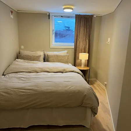 Large 1 Kilometer To Bryggen Apartment