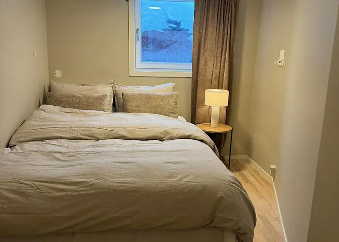 Large 1 Kilometer To Bryggen Appartement